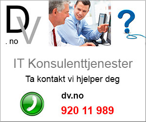 IT Konsulent
